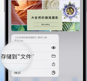 宁化apple维修中心分享iPhone文件应用中存储和找到下载文件