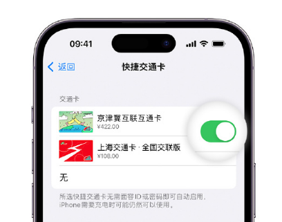 宁化apple维修点分享iPhone上更换Apple Pay快捷交通卡手绘卡面 