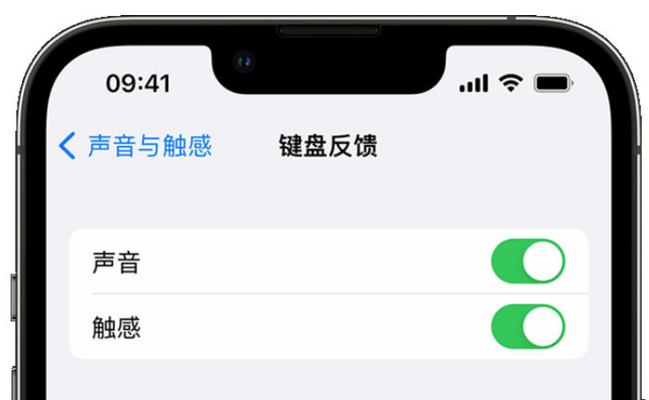 宁化苹果手机维修分享iPhone 14触感键盘使用方法 