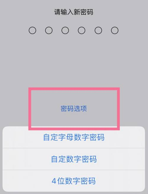 宁化苹果14维修分享iPhone 14plus设置密码的方法 