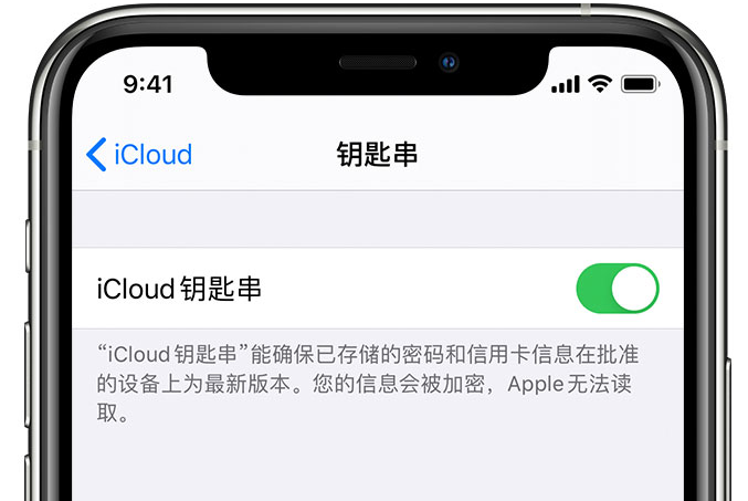 宁化苹果手机维修分享在 iPhone 上开启 iCloud 钥匙串之后会储存哪些信息 