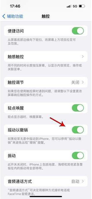 宁化苹果手机维修分享iPhone手机如何设置摇一摇删除文字 